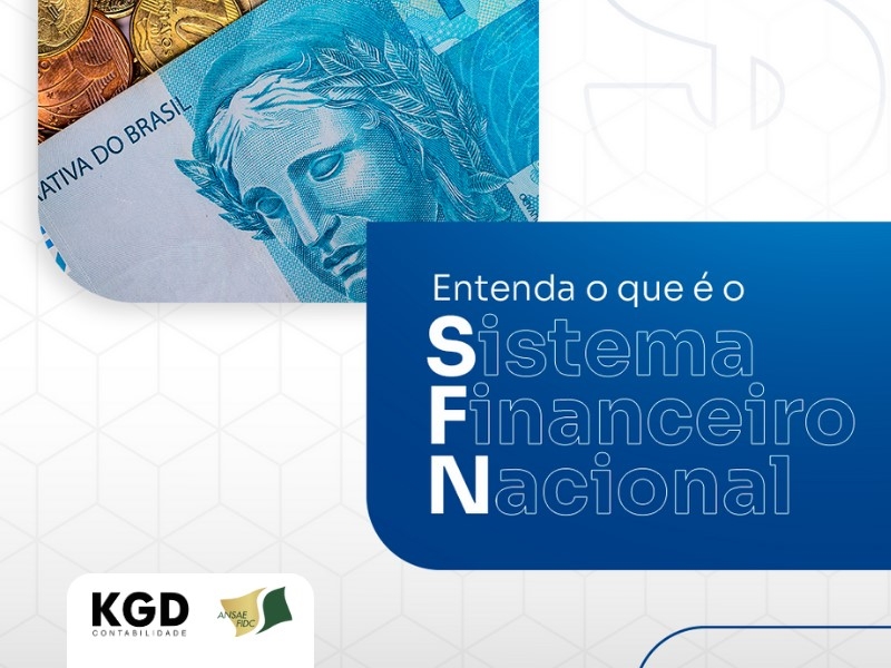 O Sistema Financeiro Nacional (SFN) 